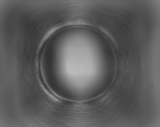 X0000053161416200507111455