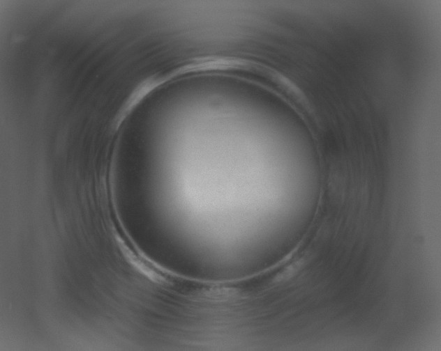 X0000053161417200507111455