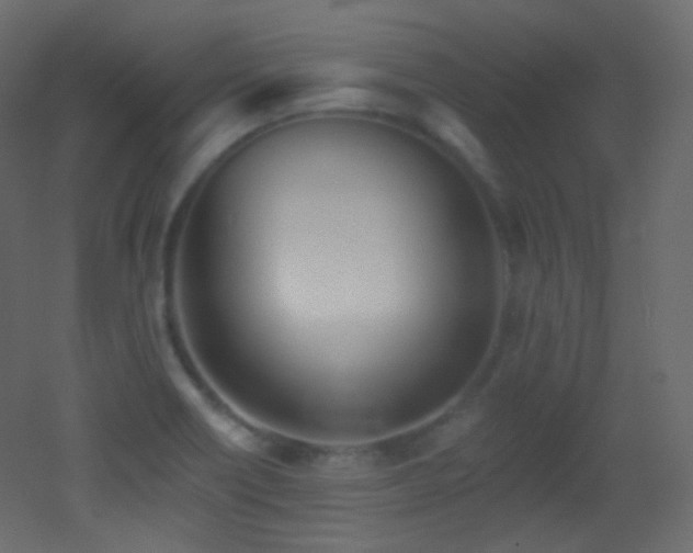 X0000053161418200507111455