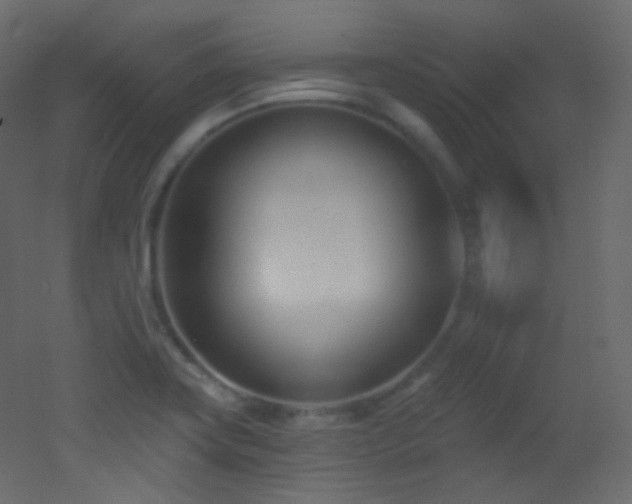 X0000053161419200507111455