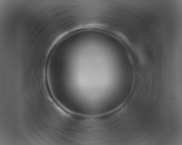 X0000053161420200507111455