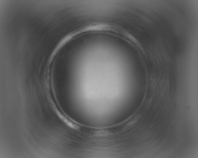 X0000053161421200507111455