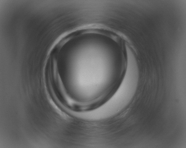 X0000053161422200507111455