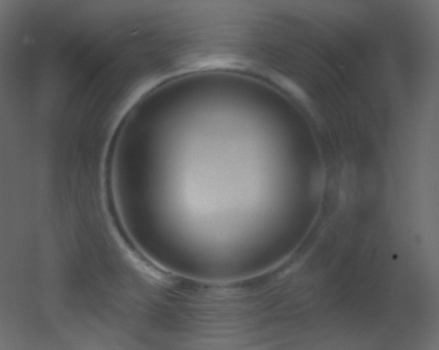 X0000053161423200507111455