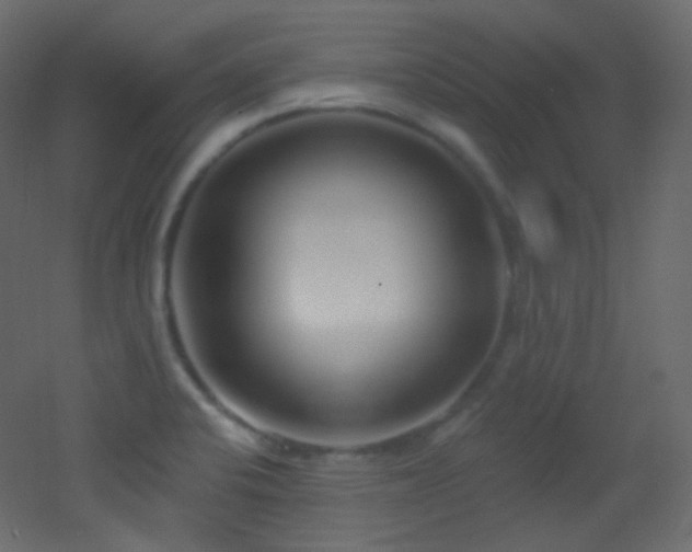 X0000053161424200507111455