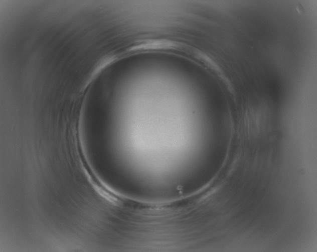 X0000053161425200507111455