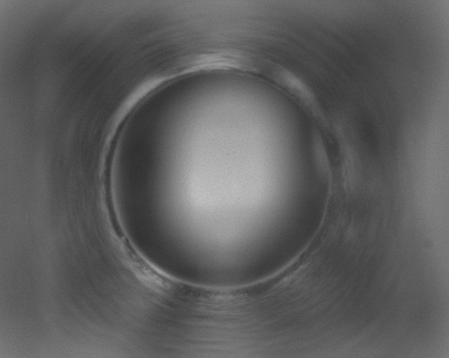 X0000053161427200507111455