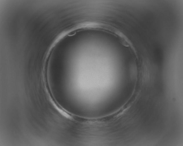 X0000053161429200507111455
