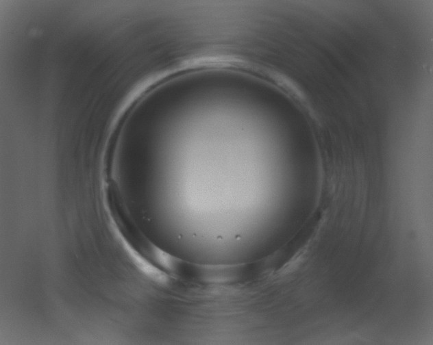 X0000053161430200507111455
