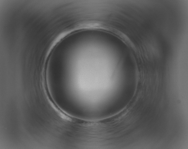 X0000053161432200507111455