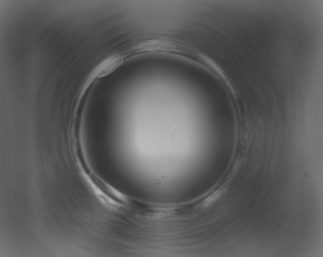 X0000053161434200507111455