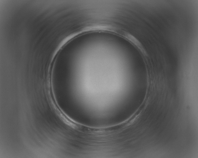 X0000053161436200507111456