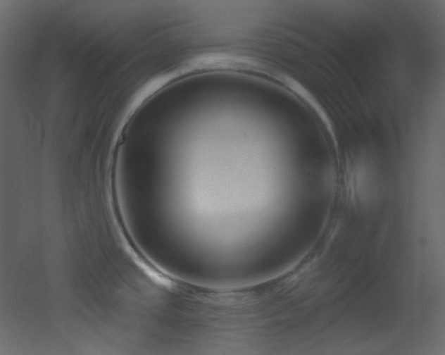 X0000053161437200507111456