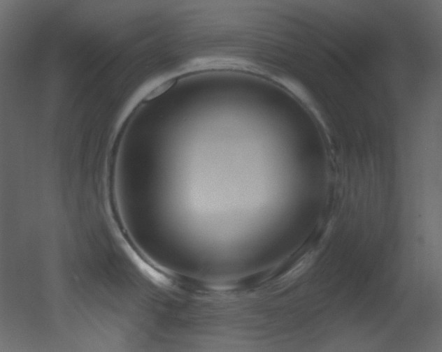 X0000053161438200507111456