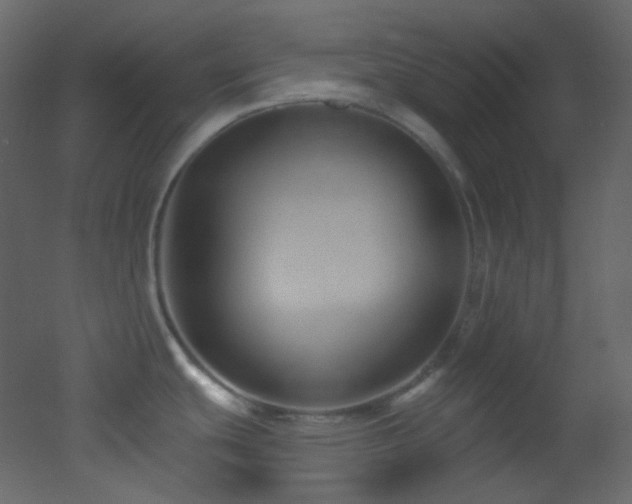 X0000053161439200507111456