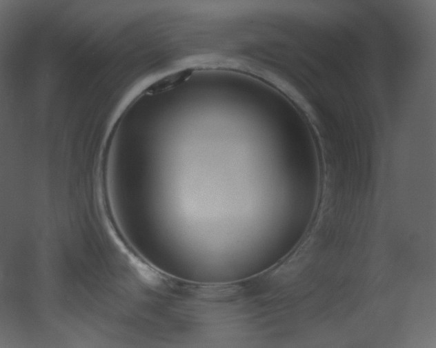 X0000053161440200507111456
