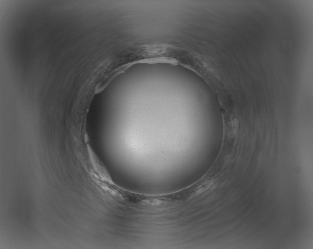 X0000053161441200507111455