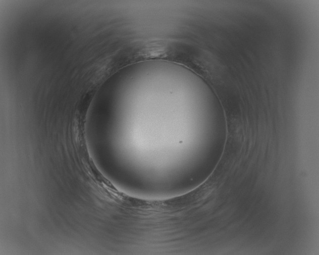 X0000053161442200507111455