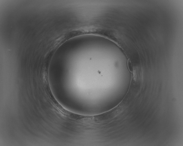 X0000053161444200507111455