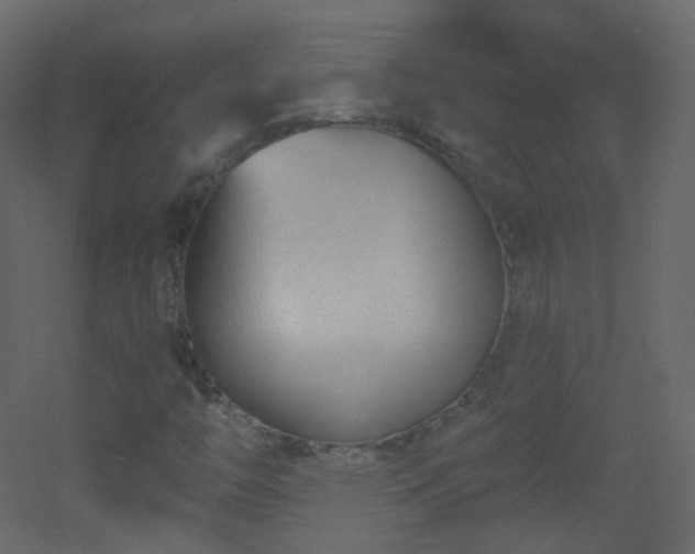X0000053161446200507111455