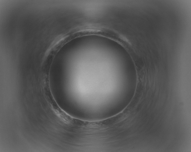 X0000053161448200507111455