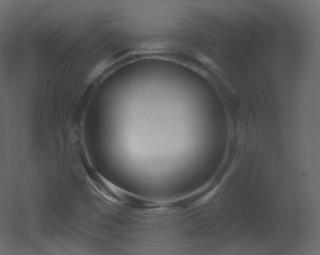 X0000053161449200507111455