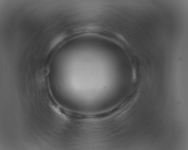 X0000053161450200507111455