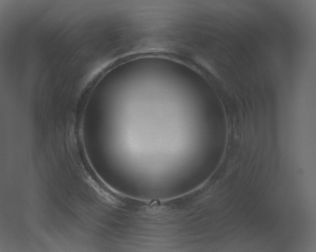 X0000053161452200507111455