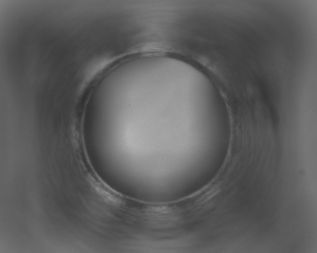 X0000053161454200507111455