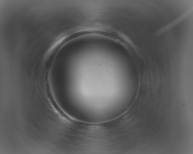 X0000053161456200507111455