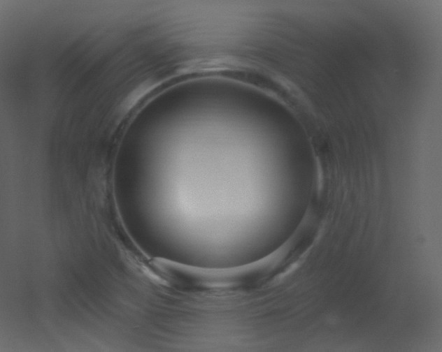 X0000053161457200507111455