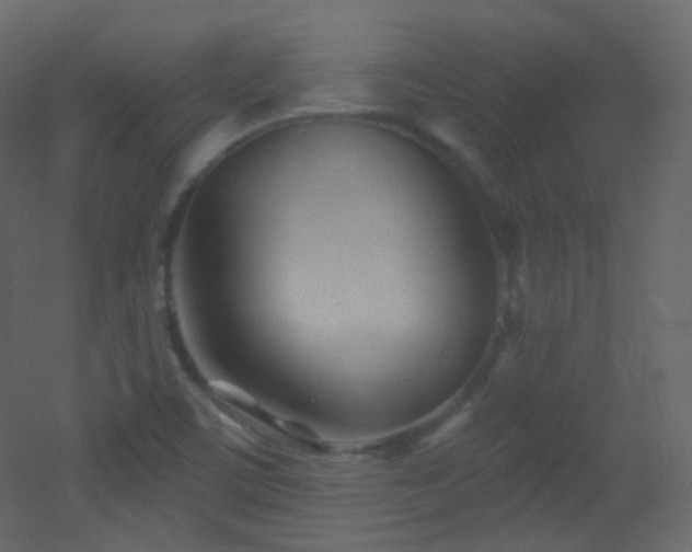 X0000053161459200507111454