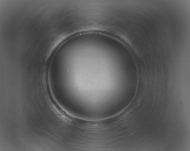 X0000053161460200507111454