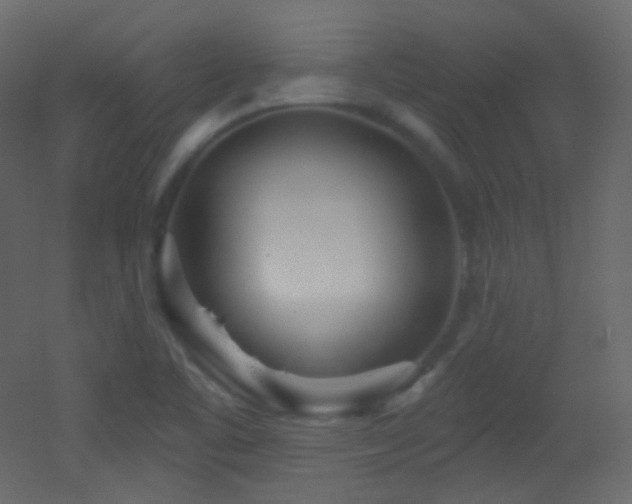 X0000053161461200507111454