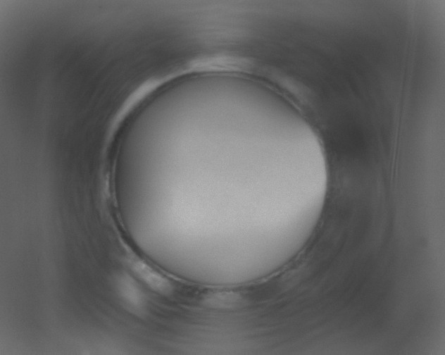 X0000053161462200507111454