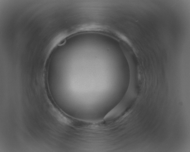 X0000053161463200507111454