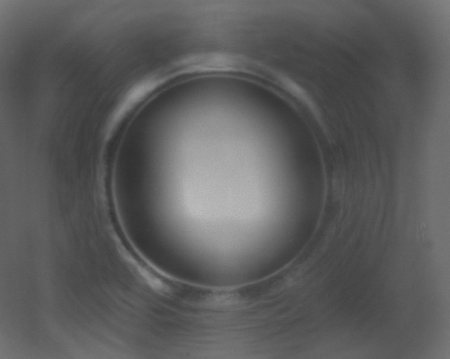X0000053161464200507111454