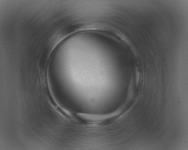X0000053161465200507111454