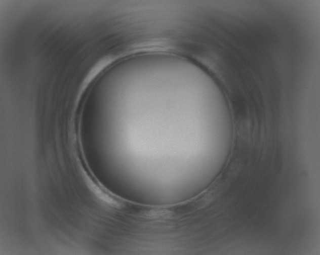X0000053161466200507111454