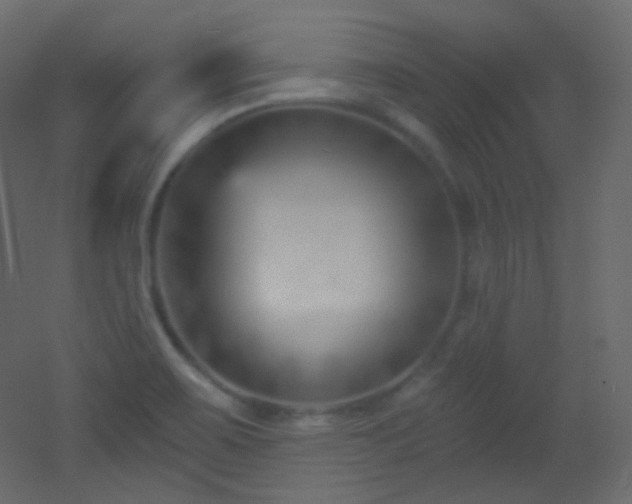 X0000053161467200507111454
