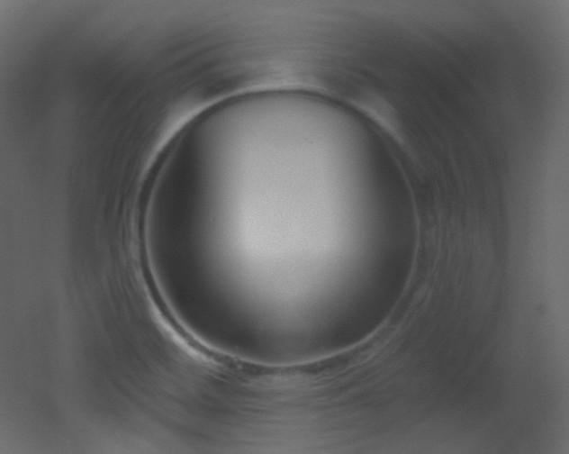 X0000053161468200507111454