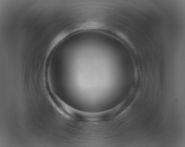 X0000053161469200507111454