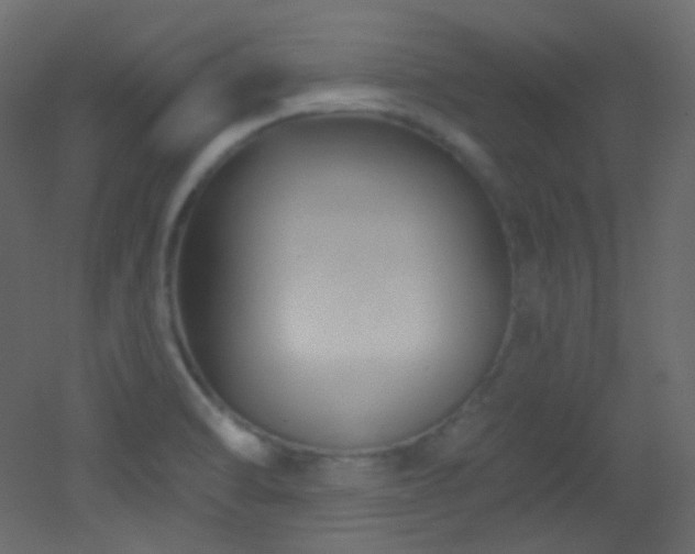 X0000053161470200507111454