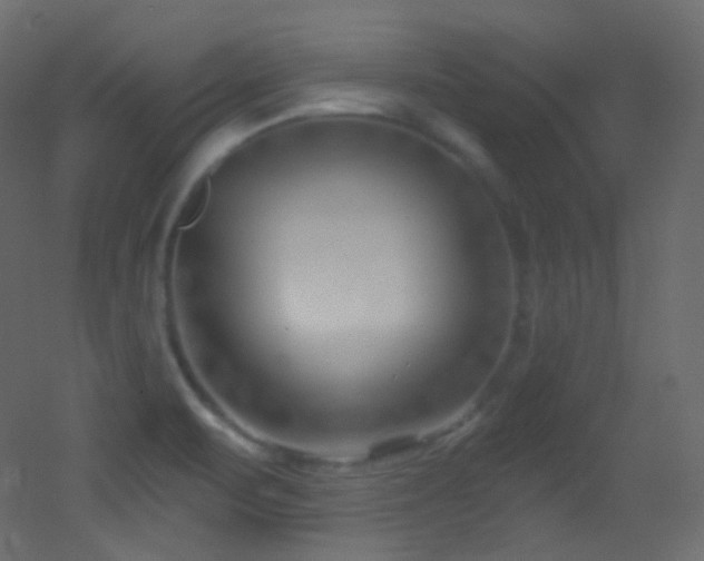 X0000053161471200507111454