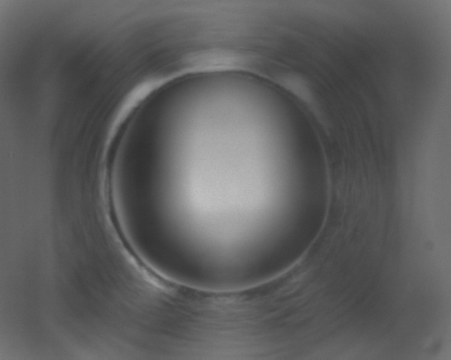 X0000053161472200507111454