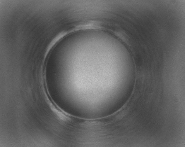 X0000053161474200507111454
