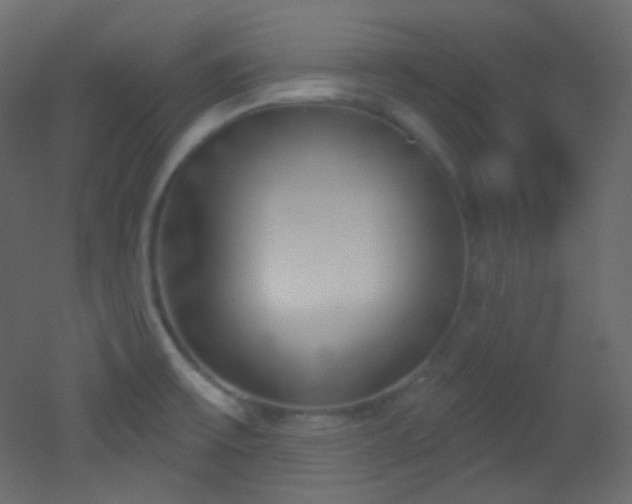 X0000053161475200507111454