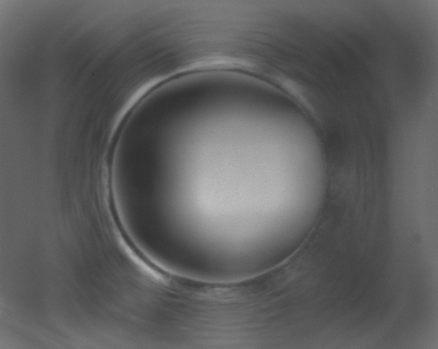 X0000053161476200507111454