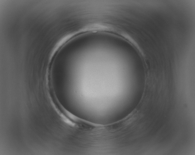 X0000053161477200507111454