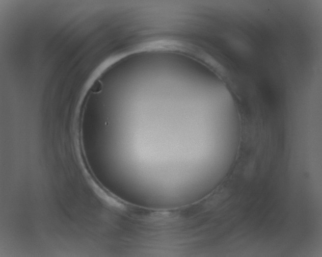 X0000053161478200507111454